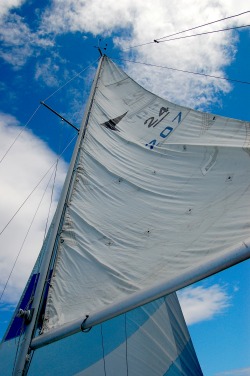 Looking up at the mainsail, with the 